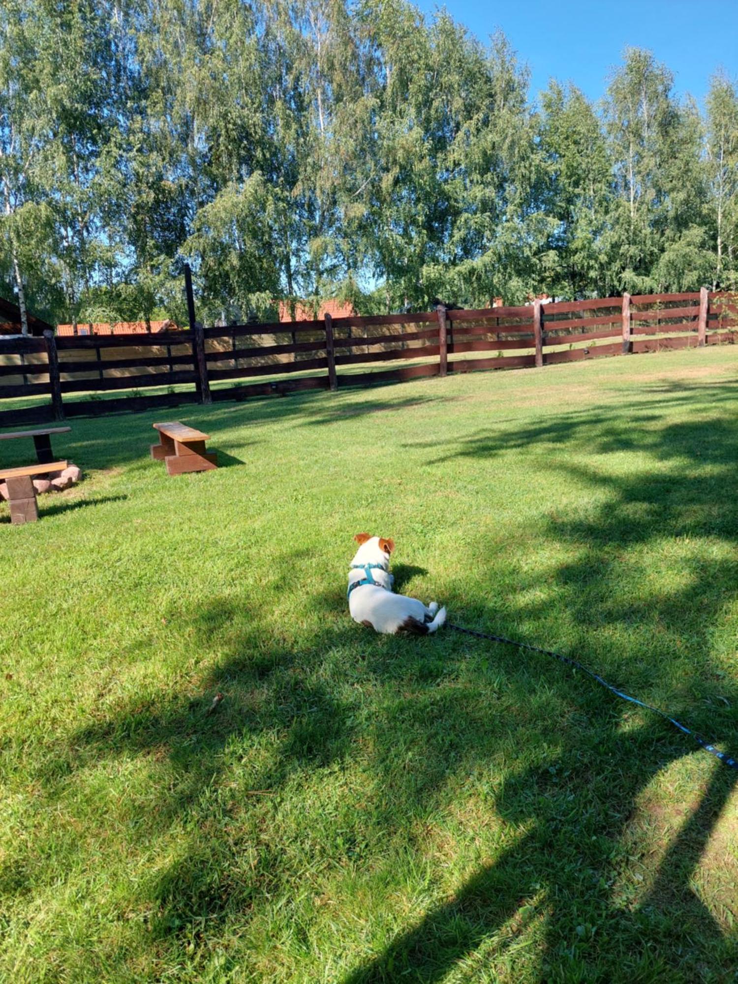 Domek Nad Krutynia Piecki  Exterior foto